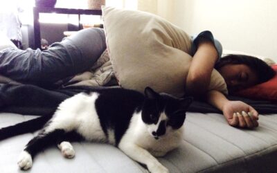 Are Sleep Disorders Common in Adolescence?